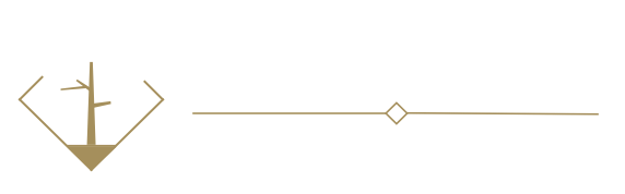 Societex logo